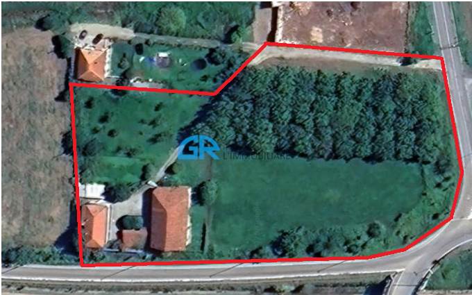 CONFINI TERRENO E FABBRICATI