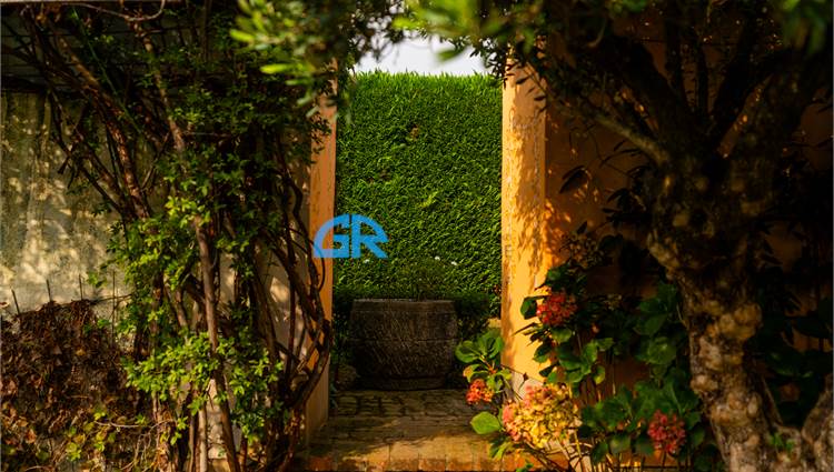 DETTAGLIO AREA ESTERNA